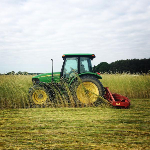 Green tractor pulling roller-crimper equipment to flatten cover crop